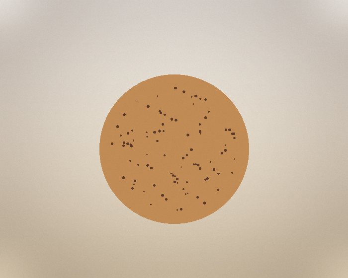 Chocolate chip cookie