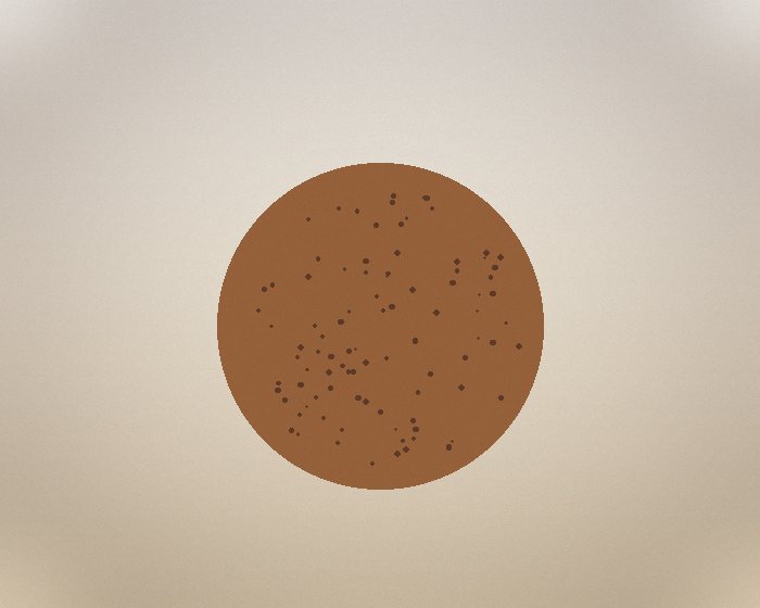 Gingerbread cookie